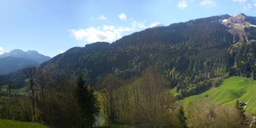 panoramic